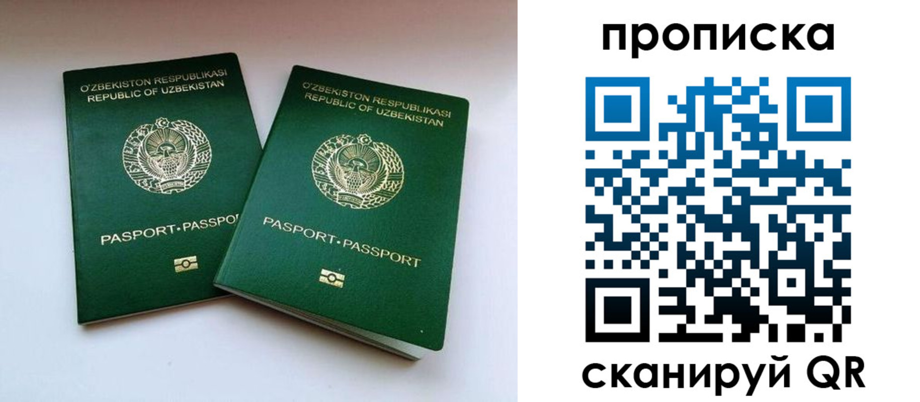 прописка поиск в Новгородской области